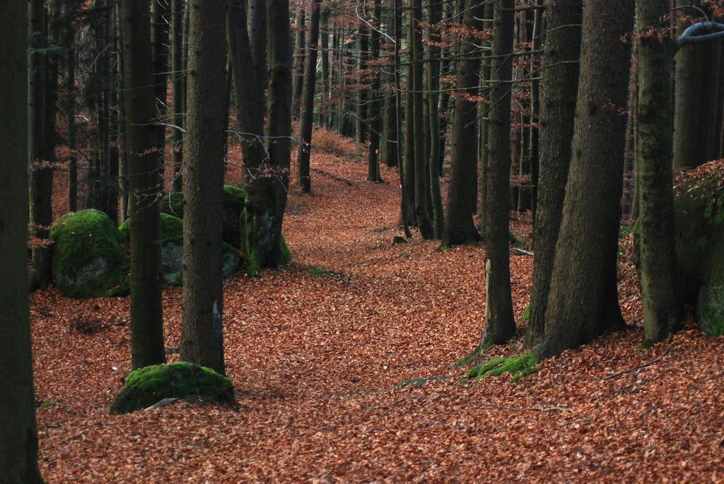 Gasthof Und Pension Haunschmid Rechberg Екстериор снимка