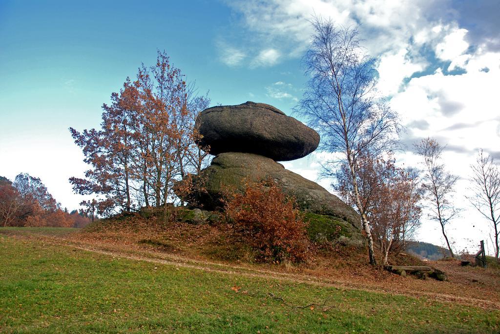 Gasthof Und Pension Haunschmid Rechberg Екстериор снимка