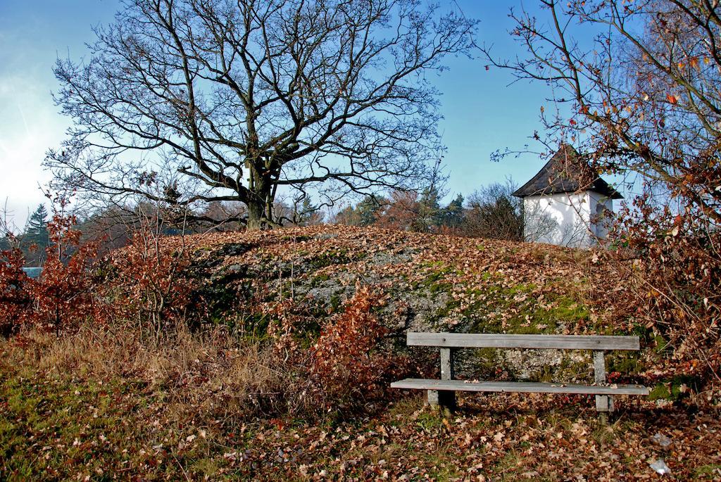 Gasthof Und Pension Haunschmid Rechberg Екстериор снимка
